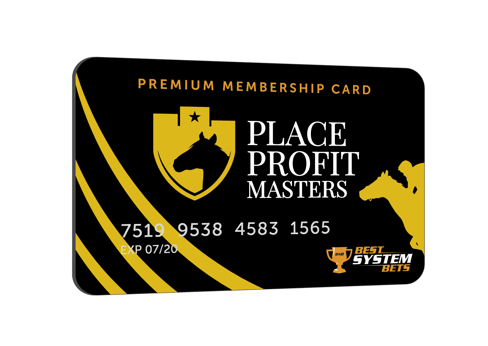 Place Profit Masters membership card